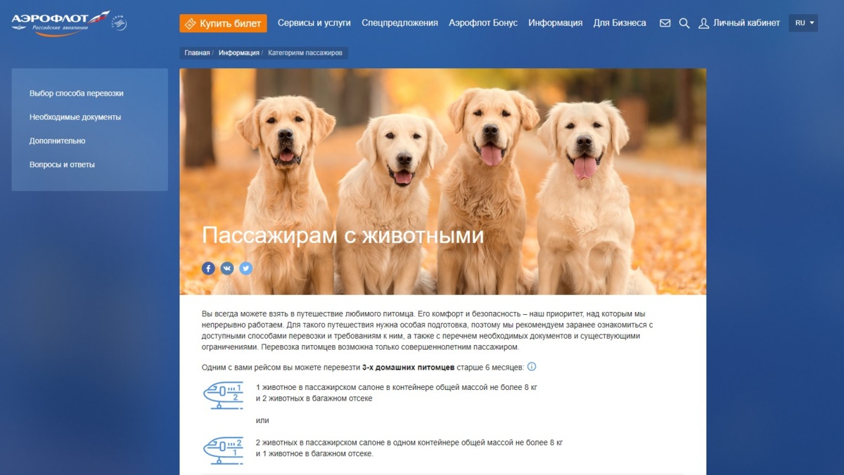 Аэрофлот изменил правила провоза животных